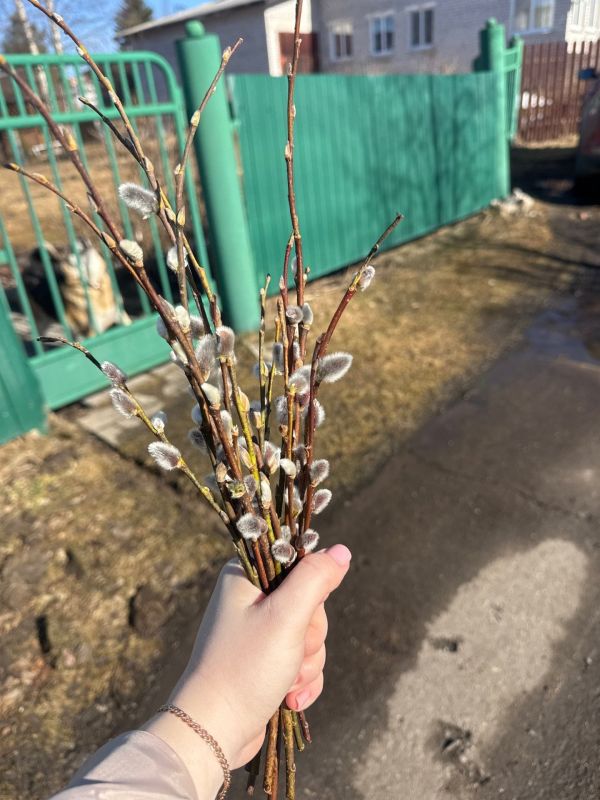Вербное воскресенье: за неделю до Пасхи православные вспоминают Вход Господень в Иерусалим