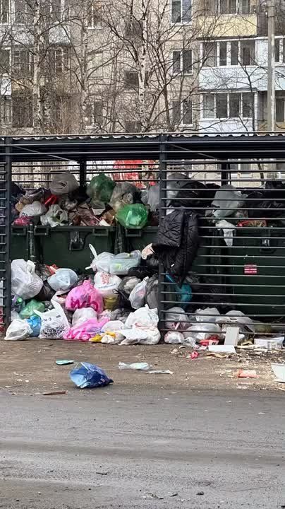 Срыв вывоза мусора с контейнерных площадок нивелирует работу по весенней уборке