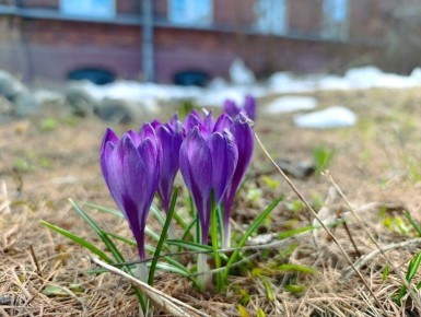 ������, � ����������� ��� � �����