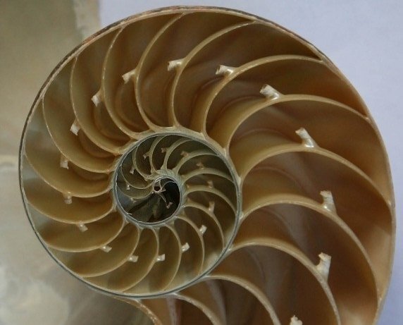 Как последовательность формирует наше поведение