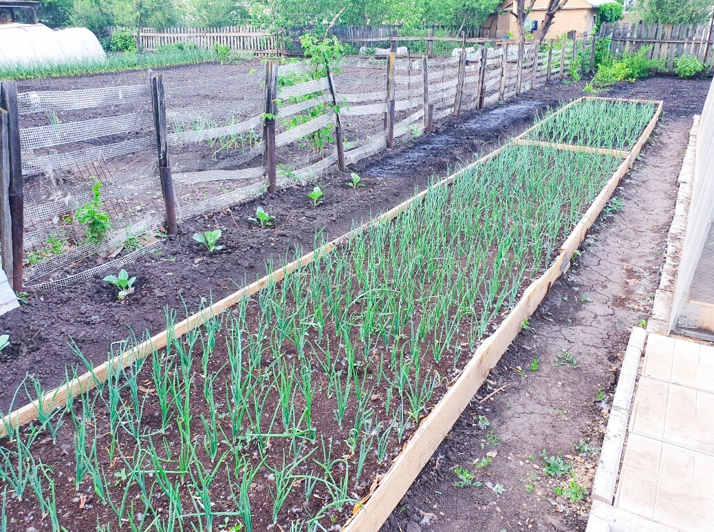 Умные решения для дачи: как сделать участок красивее и проще в уходе