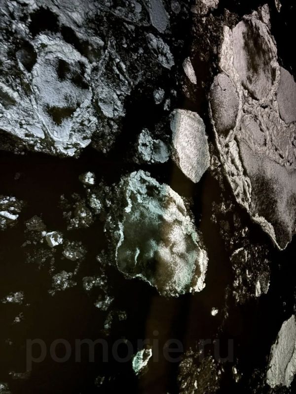 Ледоход уже в Архангельске!