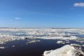 Ледоход у порога: когда ждать лёд у Архангельска