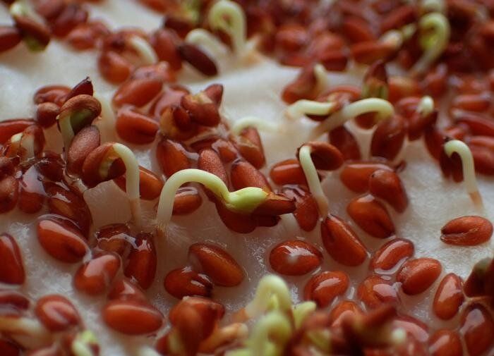 ��� ������� ��������� ������ ��� �������: ����������� ������ ��� ��������� ������