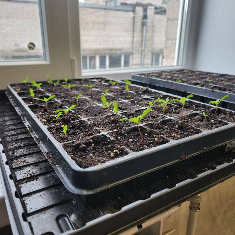 �� ������� ������ ��������, @club181586528 (������ ����������� �������� �������� ��������) ���������� ������� ������ ��� ������� ������������� �����