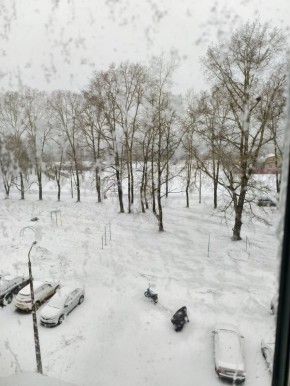 ������, � �� ��� ������������� ������� ��������� ����