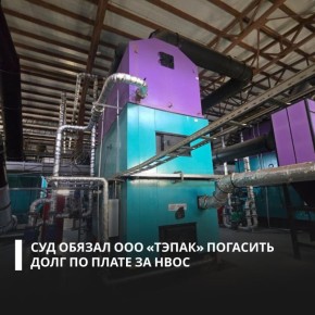 По материалам Росприроднадзора суд взыскал с ООО «ТЭПАК» более 5 млн рублей