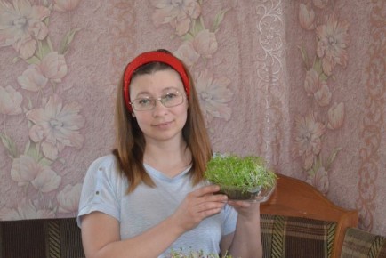 Как вырастить свежую микрозелень всего за неделю к празднику