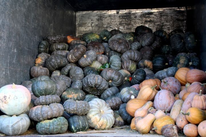 ��� ������� ��������� ����� ��� ������ �����: ������ � �������