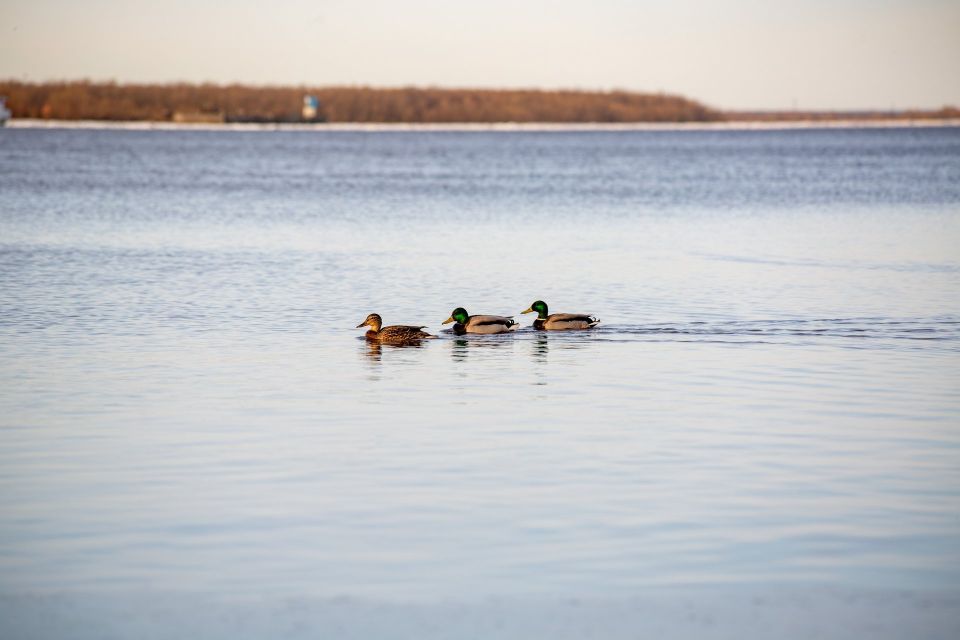 ������ ����, ������!. ������� �������, 9 ������