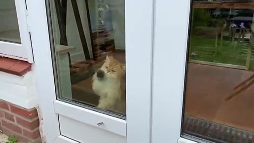 Чистый четверг: мойте окна без риска!