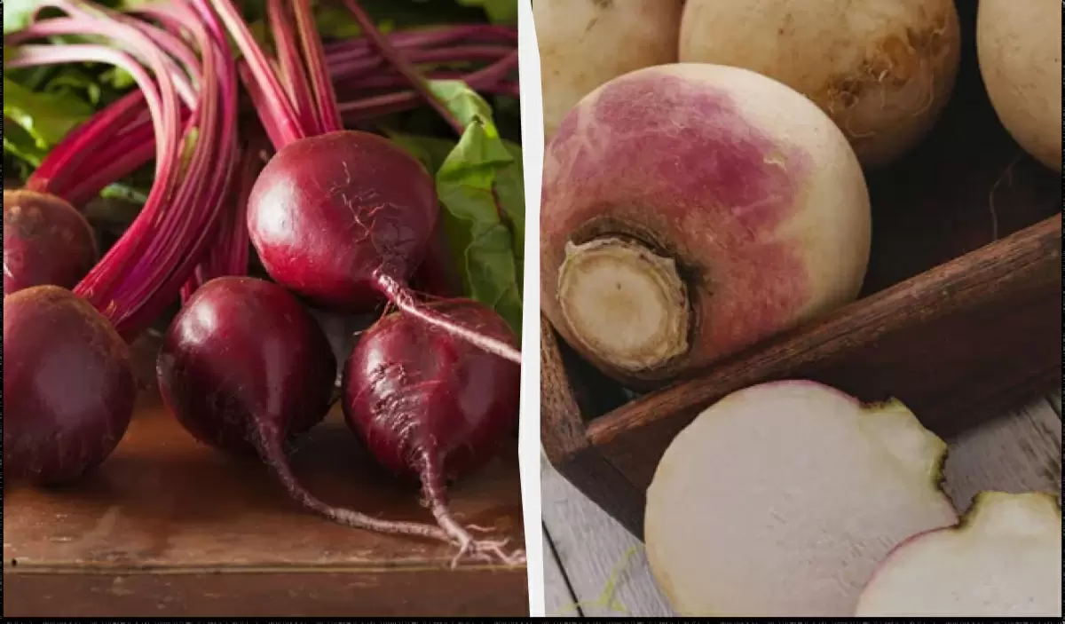 Как сохранить свежесть свеклы до весны: лучшие способы хранения овоща
