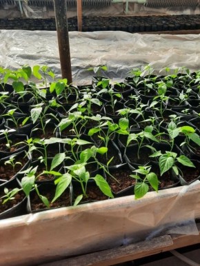 � �������-������������� ����� ��. ��������� �.�. �������� ����� � ����� �������