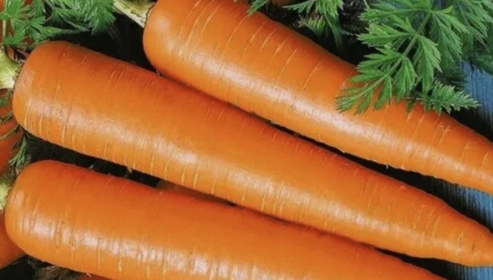 ������� ��������� ����������� �������