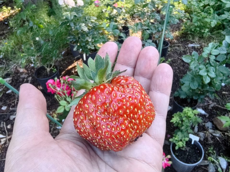 �������� ��� ��������: ������ �� ����� � ������ � �����������