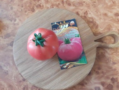 Томат Падишах: спокойное объяснение одной идеи о выращивании и вкусе