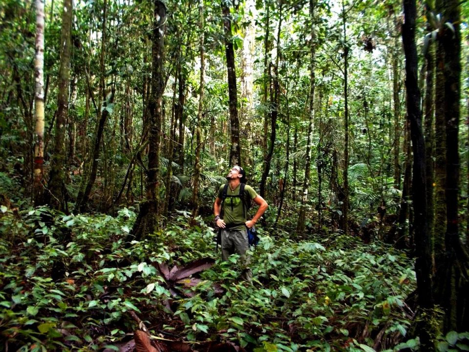 ��� �������: ��������� ����� ����������� ������ �������