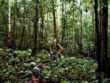 Сад дьявола: исследуем тайны уникального уголка природы
