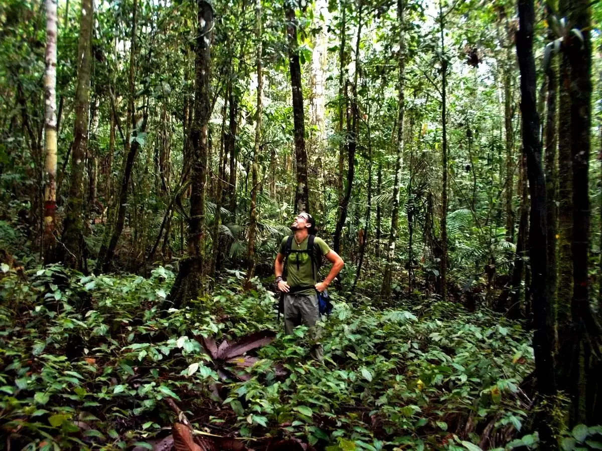 Сад дьявола: исследуем тайны уникального уголка природы