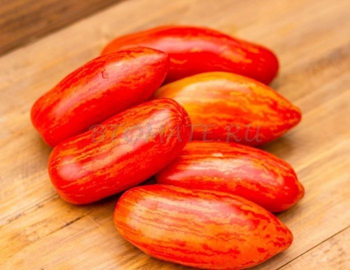 ����� ������: ��� ���������� ���� � ���������� ������� ������ ������ �� ������������ ������