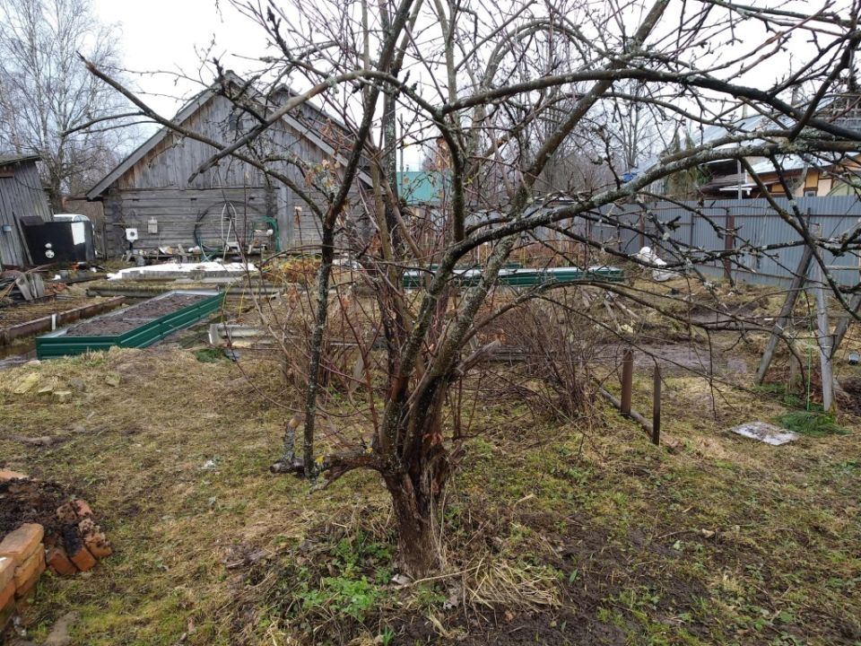 ���������� ������: �������� ������ � ����� ���� �� ��������� ����� ��������� ������