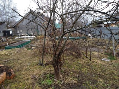 Апрельские заботы: основные работы в вашем саду на стартовом этапе весеннего сезона