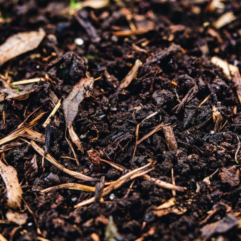 ��� �������� ����� ���������������� ������ ��� ���������������: ������� ��������� ������