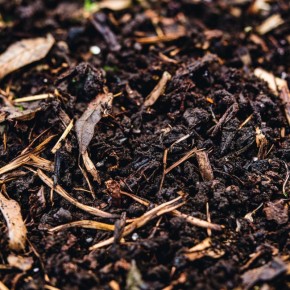 ��� �������� ����� ���������������� ������ ��� ���������������: ������� ��������� ������