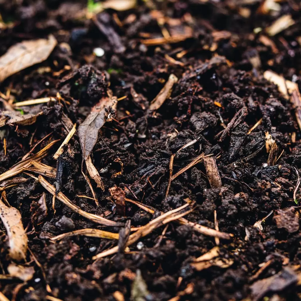 Как избежать самых распространённых ошибок при компостировании: секреты здорового грунта