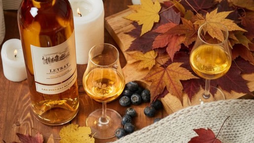 Как победить осеннюю хандру: питьевая гармония и уютный сезон