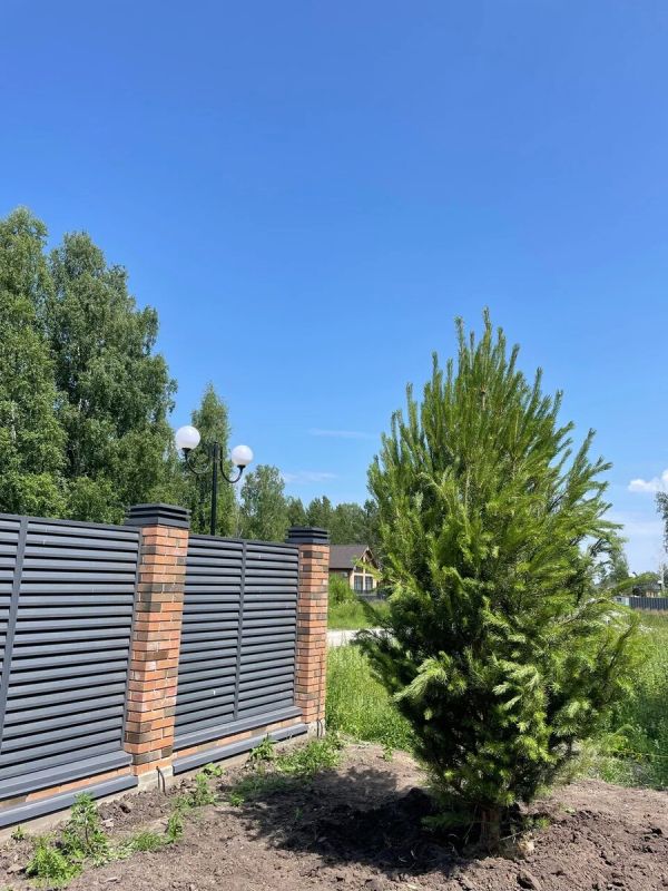 ��� �������� ������������ ����: ������� ����������� ���������� ��������