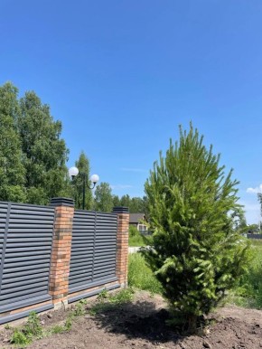 ��� �������� ������������ ����: ������� ����������� ���������� ��������