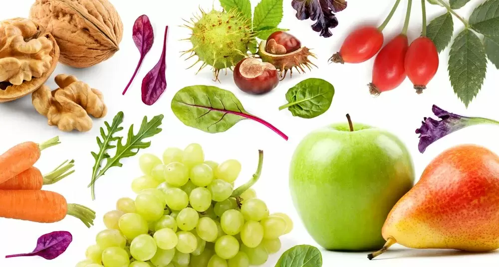 Секреты московского ботанического сада: что на самом деле можно найти в его растительных залежах