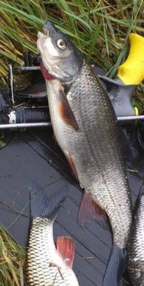 ��������� ������� �� �������: ��� �� ���������� ����?