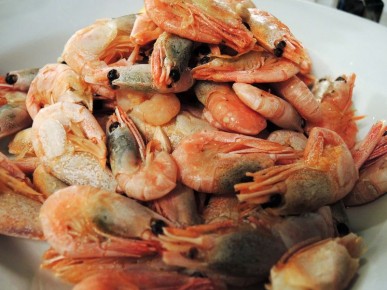 ����� �� ���� ������������ � ������� ����: ������ ����������