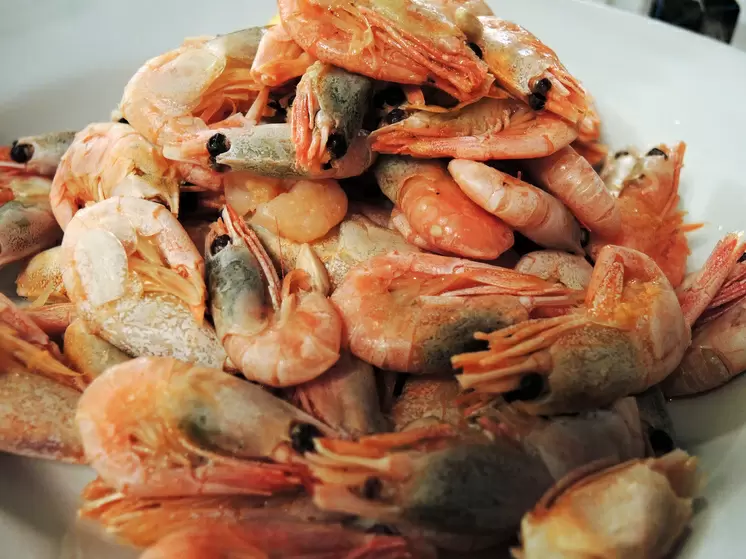 Можно ли есть морепродукты в Великий пост: взгляд священника