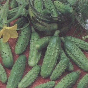 ������ �����: ��������� ������ ��� ������ � ��������������� ������