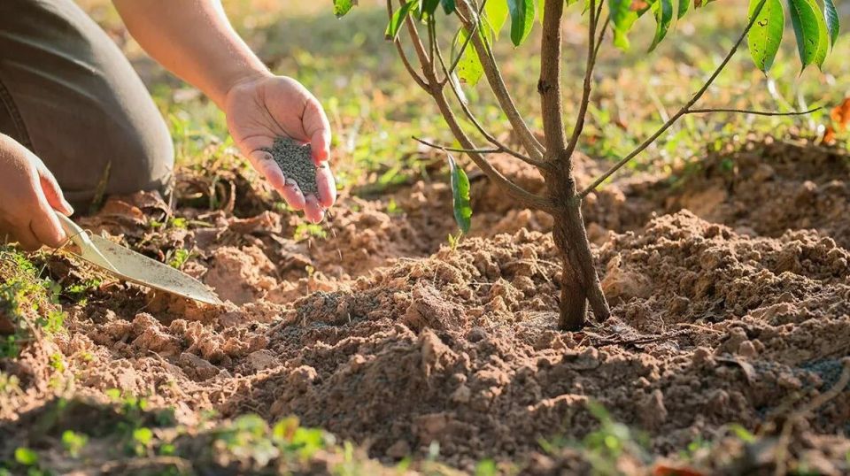 ��� ��������� ������������� �������� ������� ������: ������ �� ������ � ��������