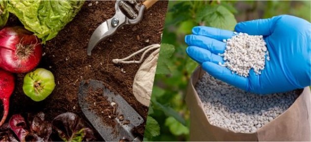 ��� �� ��������� �����: ������ �� ����������� ������������� ����������� ���������