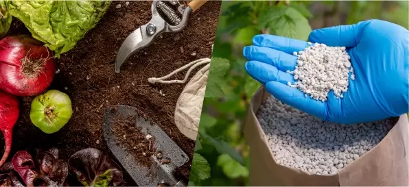 Как не навредить почве: советы по правильному использованию минеральных удобрений