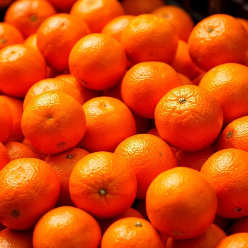 ��������� ���������: �������� 3 ������ � ����������� �����������