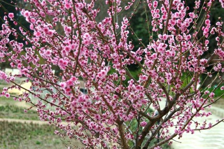 ��������� ��� ��������, ��������� � ����� ������ ������