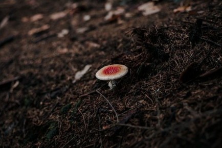 ������� ��������: ����� ���������� �������� ������������ ���� �����