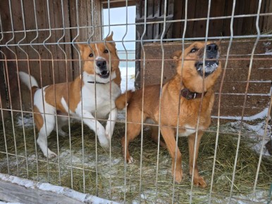 �������� ������� ��� ������������� �����!