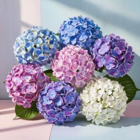 ��� ����������� ��������� � �������: ������ ��� ��������� ���������� ������