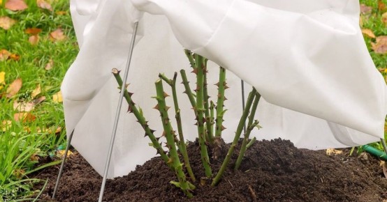 ������ �������� �� ������� ����������: ������������ ������������