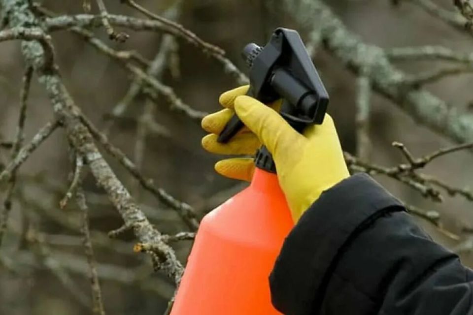 ��������� ��������� ��������: ��� ����� ����� ���������