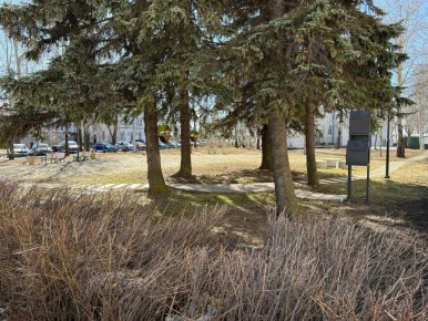 Придумаем название скверу вместе