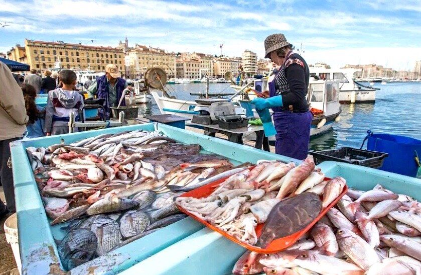 �������: ������, ������� ������� ���� ������ � �������