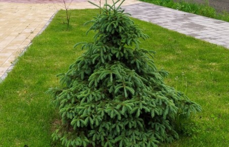 ����� �����: ��� ��������� ������� ���������� ��� ������ �������